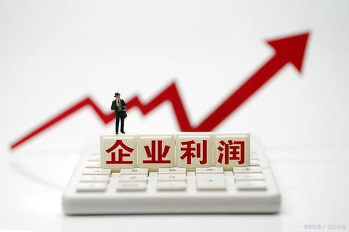 个体工商户的15个财税要点,2021报税政策 税收优惠等